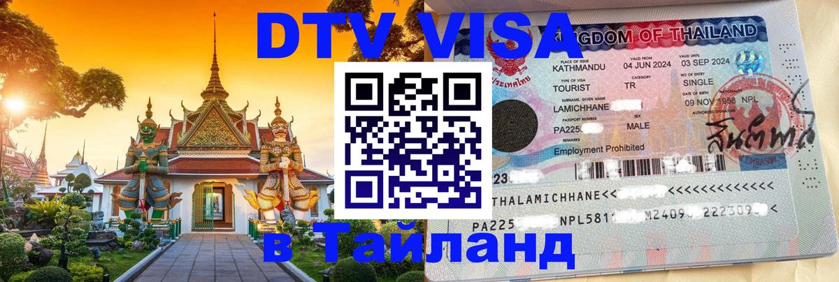 Оформление DTV визы под ключ: стоимость и тарифы, только загранпаспорт - 08.01.2026 